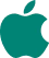 iOS Icon