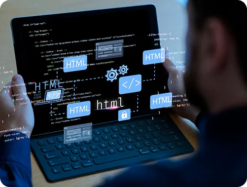 Web Development